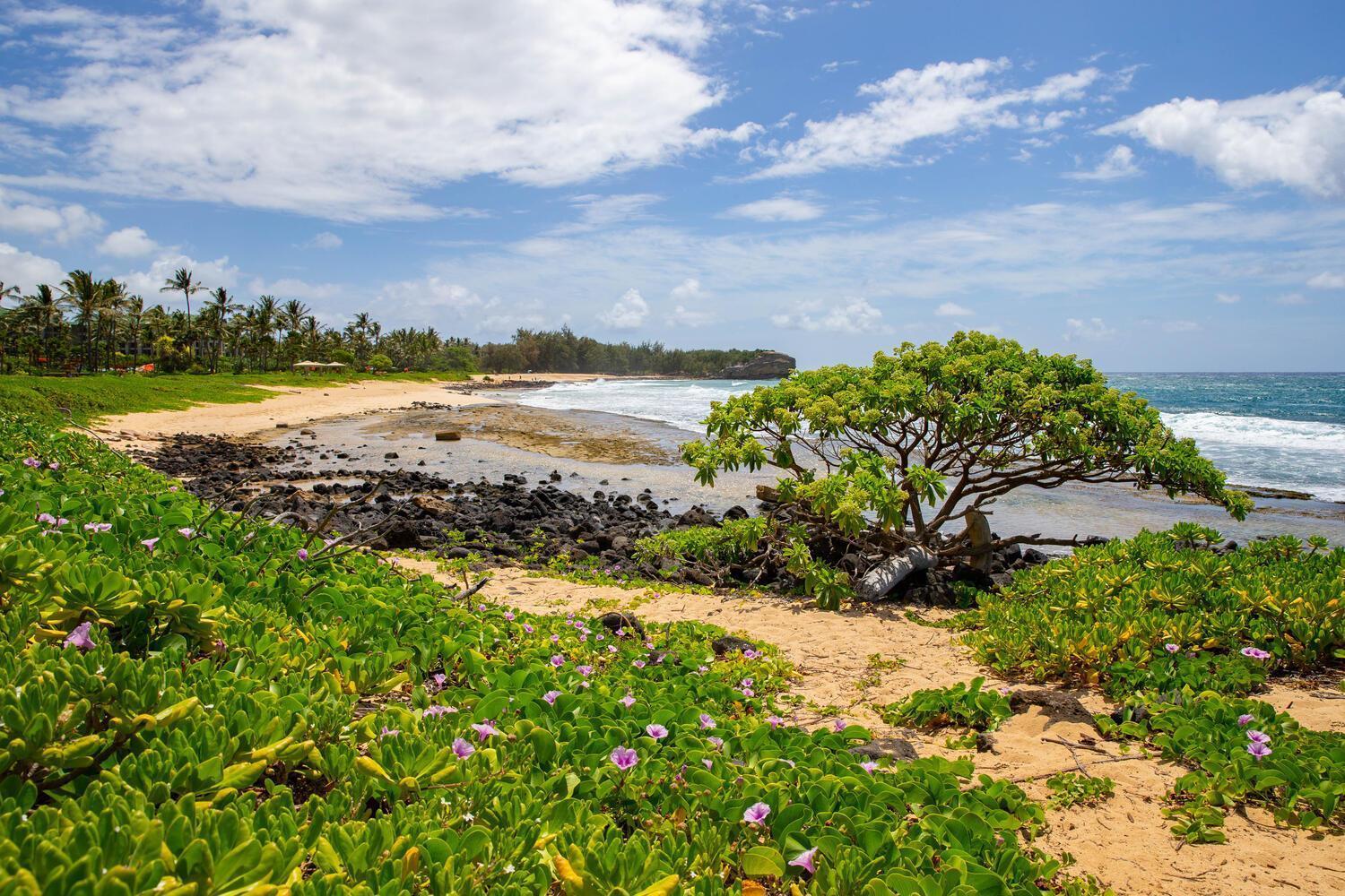 Poipu Sands 513 - Ocean Front Koloa Exterior photo